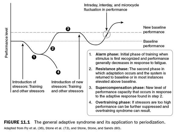 Downcycle