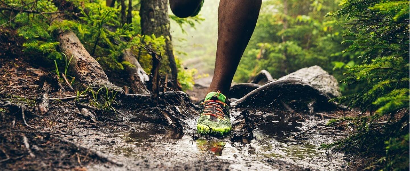 Run The Leadbelt Fleet Feet St Louis run-the-leadbelt-fleet-feet-st-louis