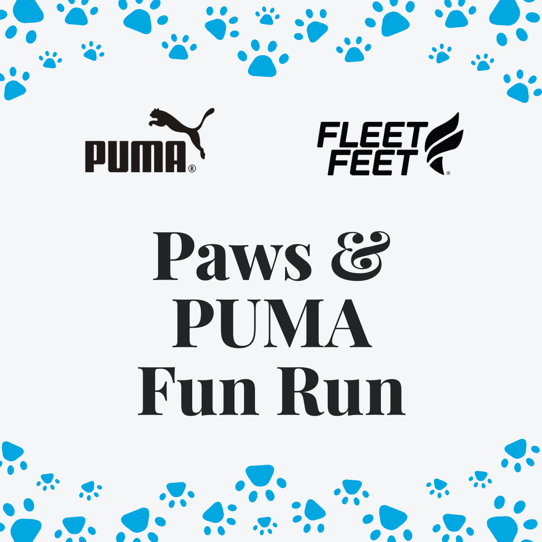 Paws & PUMA Fun Run