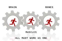 Eliminating The Pain Of Muscular Compensation Patterns - Muscle Pain