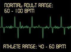 heart rate