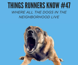 Running with Dogs