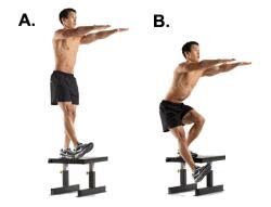 Single leg online dips