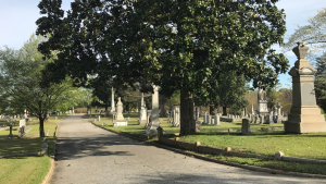 trees, headstones, and walking path in oakwood cemetery