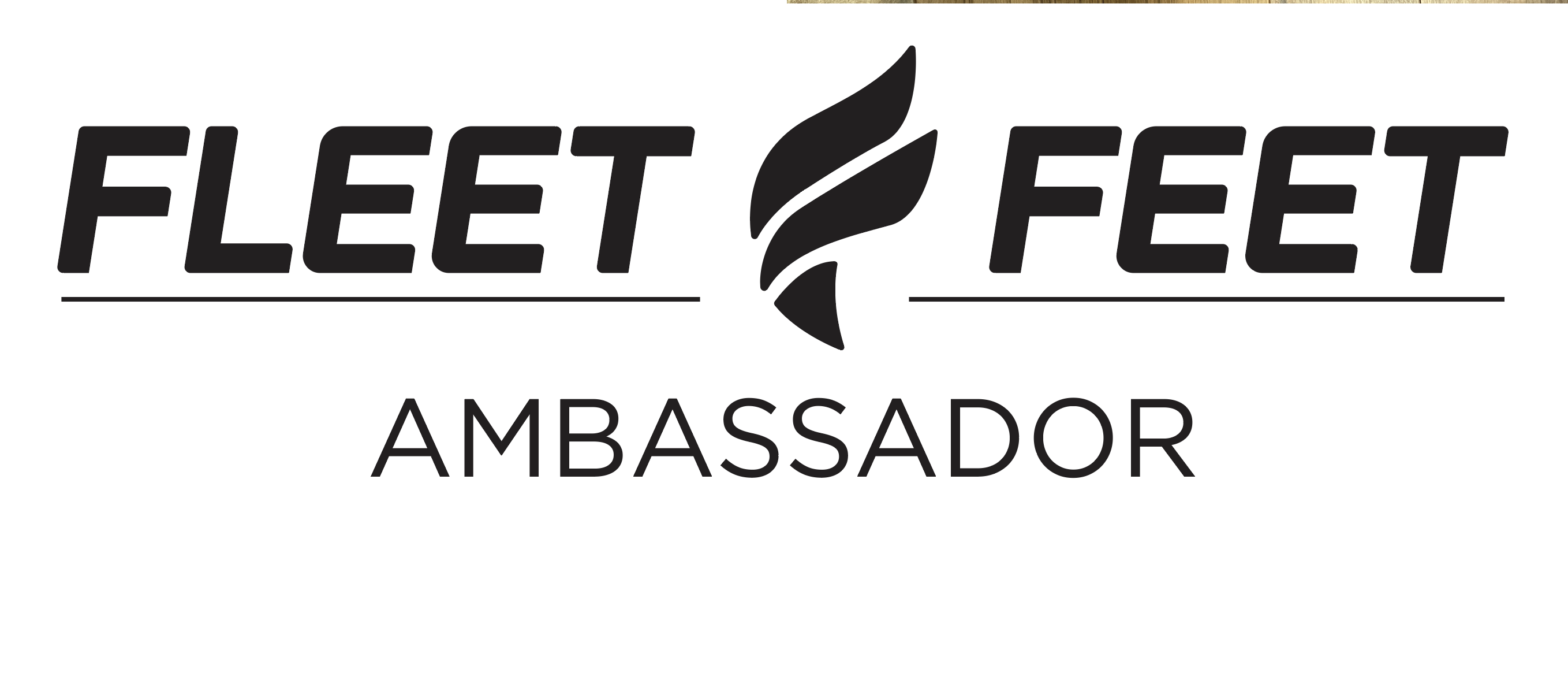 Fleet Feet Ambassador Team