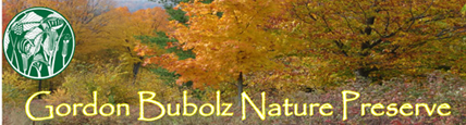 BubolzLogo