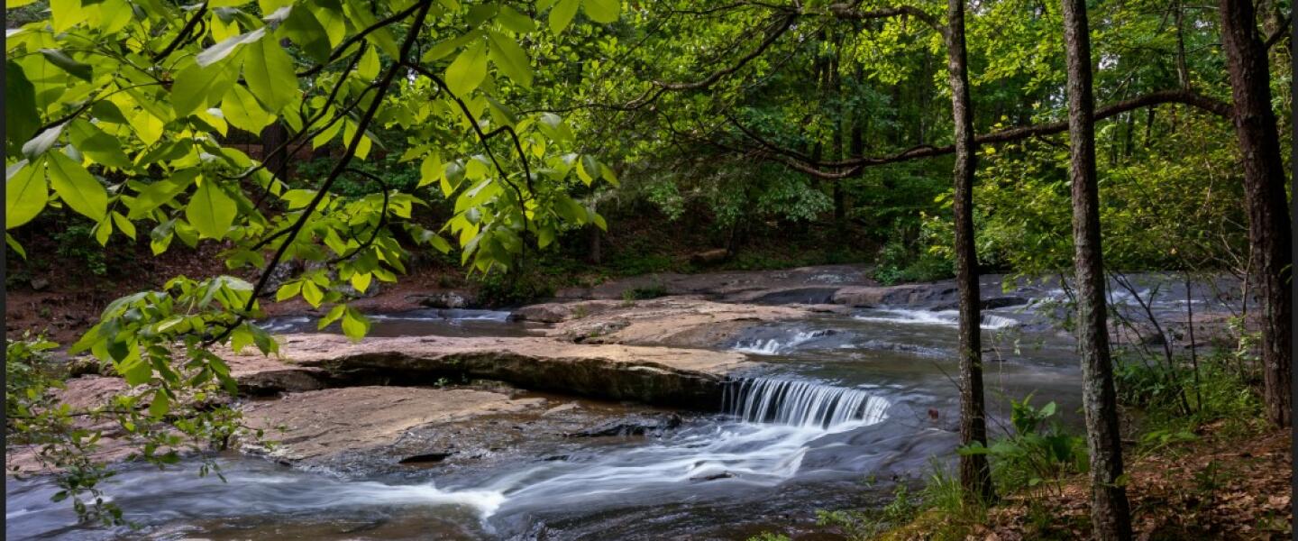Fleet Feet Athens hoka on goodr maurten vuori rabbit spring sprints