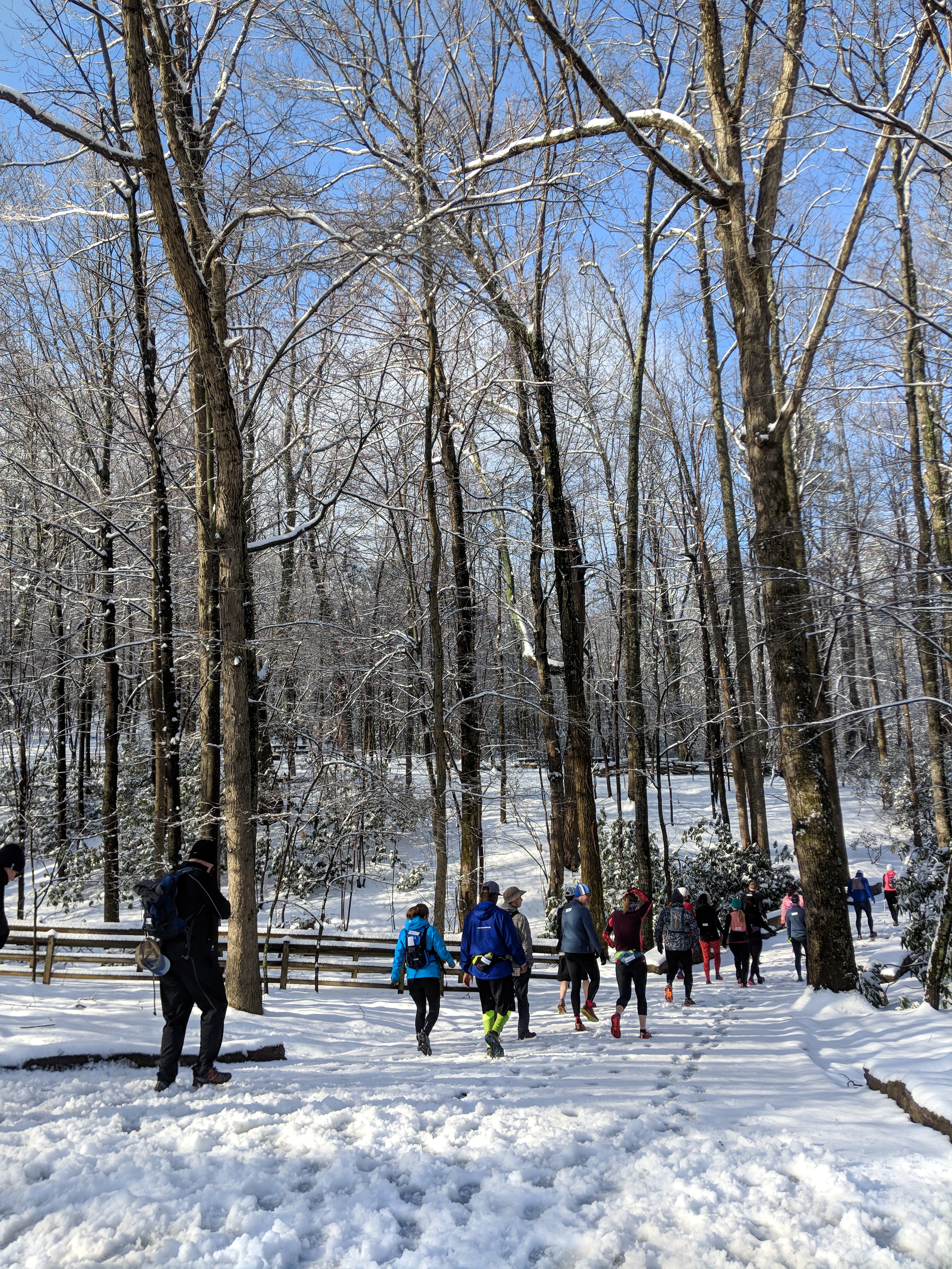 trail runners on a snowy trail