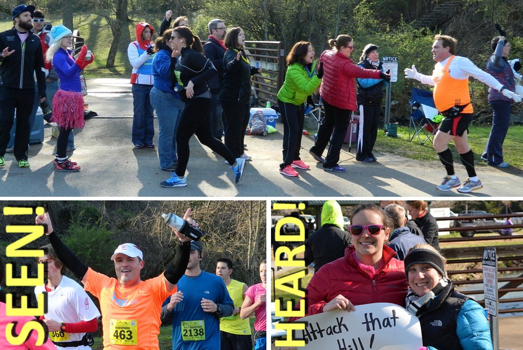 knoxville marathon 2014 fleet feet cheer section