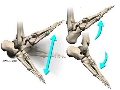 Ankle Mobility