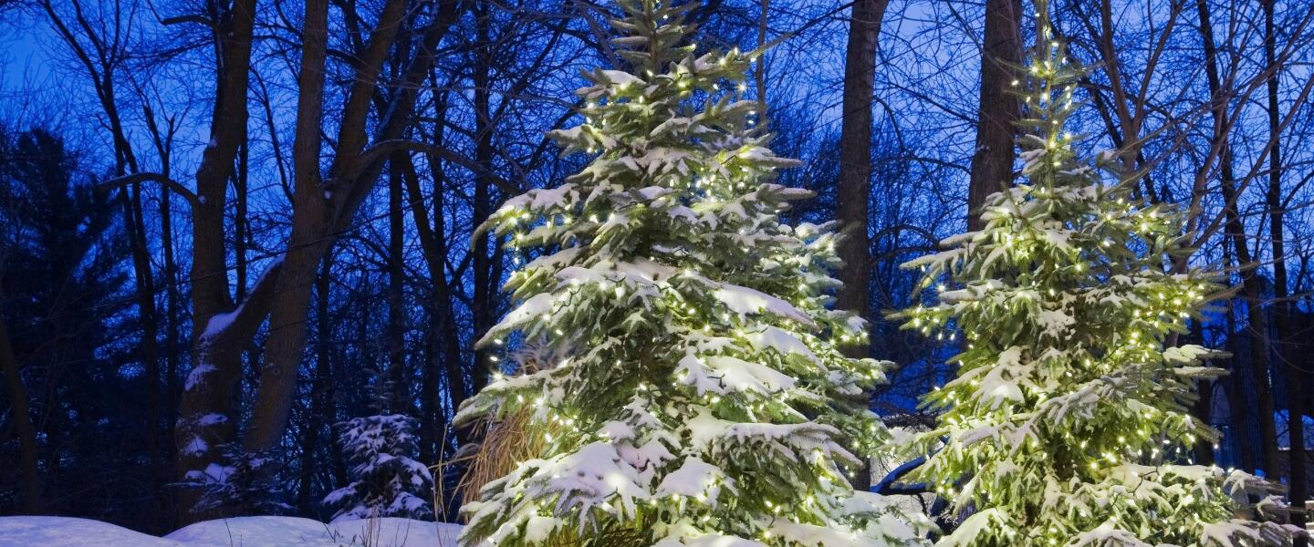 Holidaze Training Fleet Feet Cincy