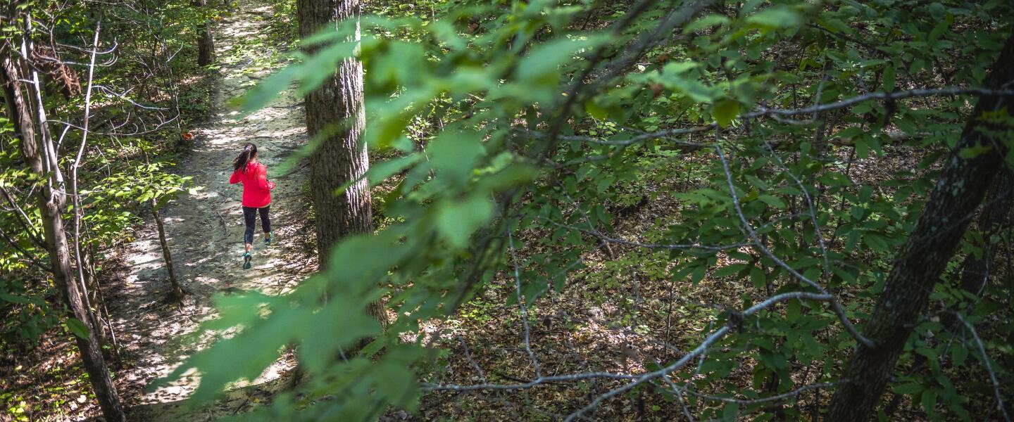 Fall Trail Mixer Fleet Feet Cincy fall-trail-mixer-fleet-feet-cincy