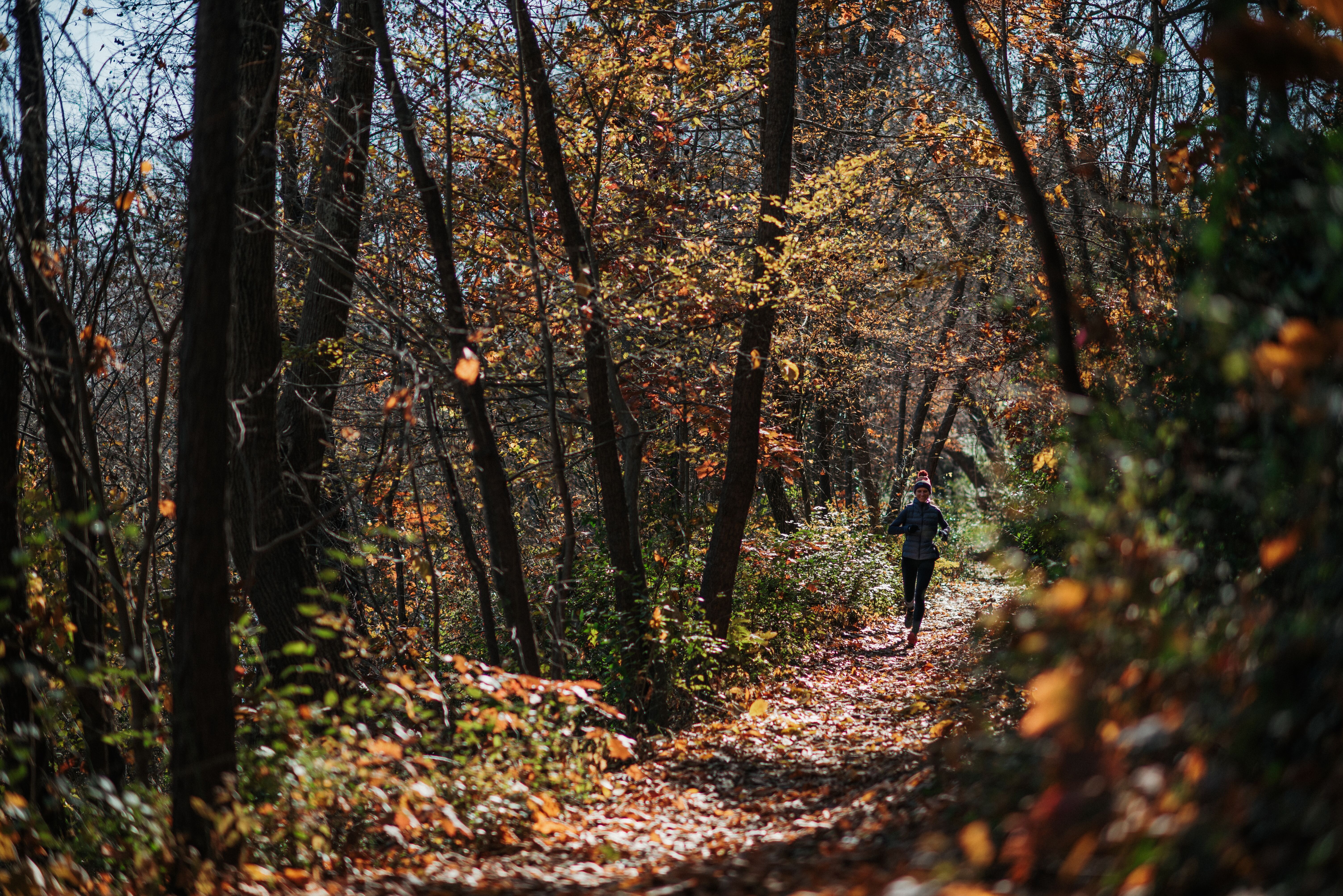 fall trail running foliage