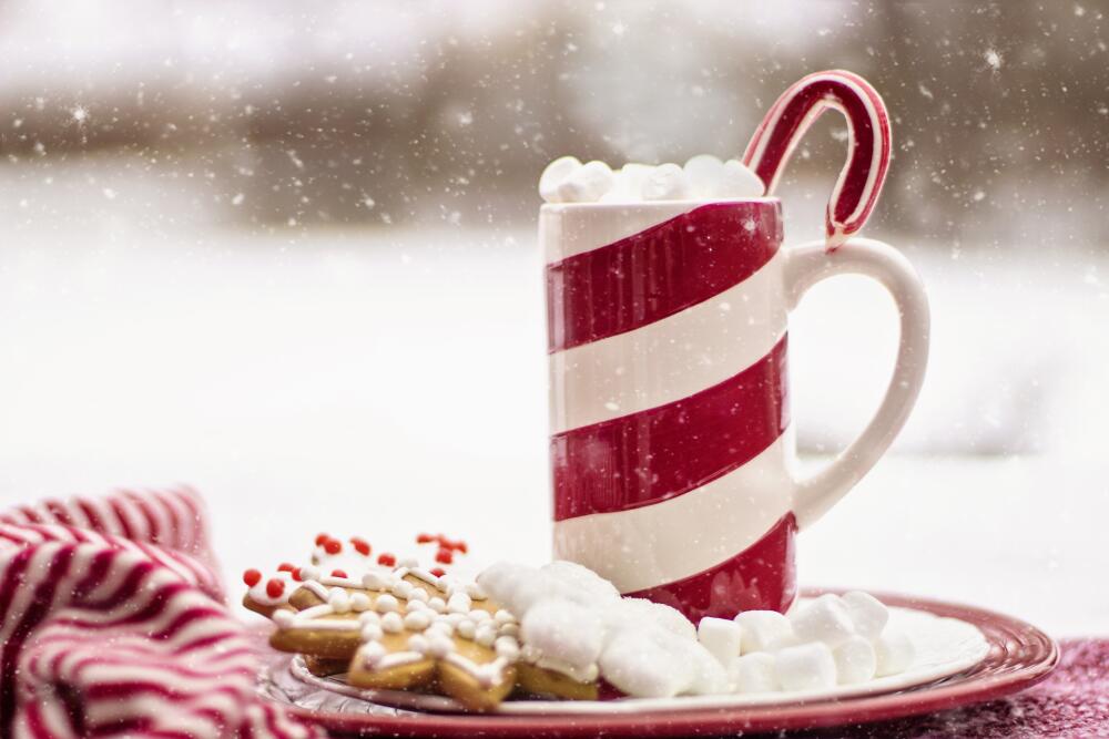 Holiday Plate and mug