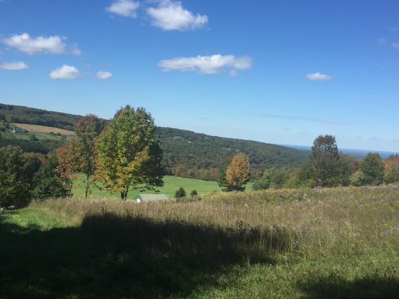 Gorge Trail photo view in Cazenovia