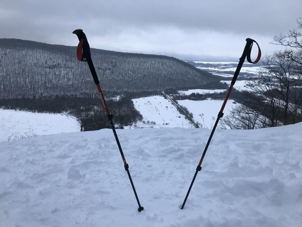 Black Diamond trekking poles fleet feet syracuse