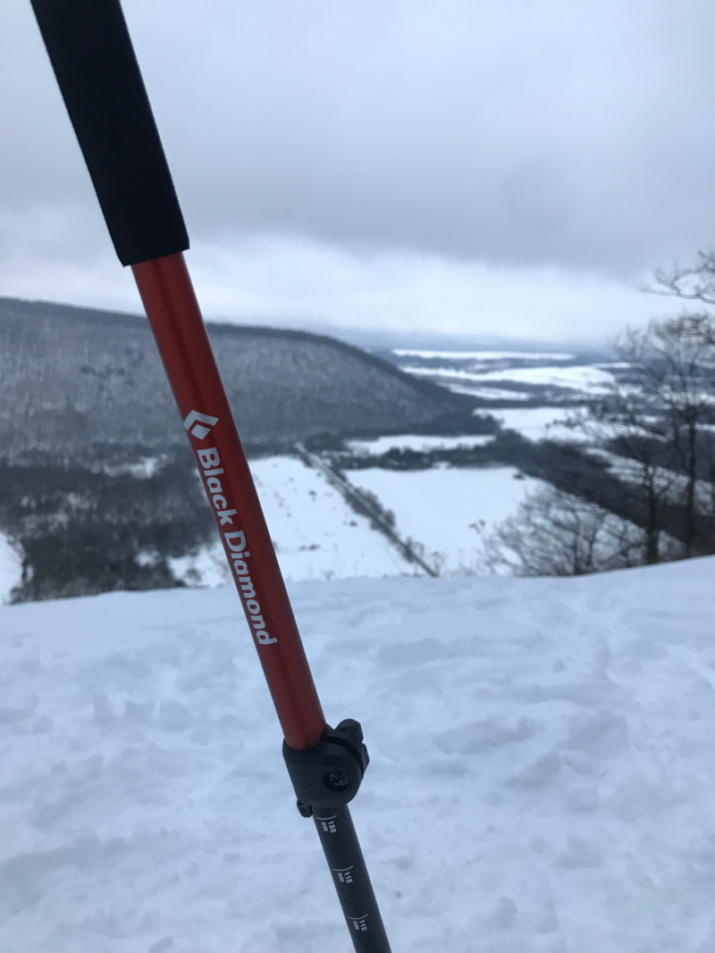 black diamond trek poles fleet feet syracuse