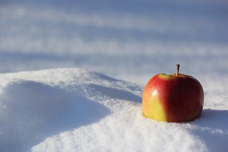 Apple in Snow