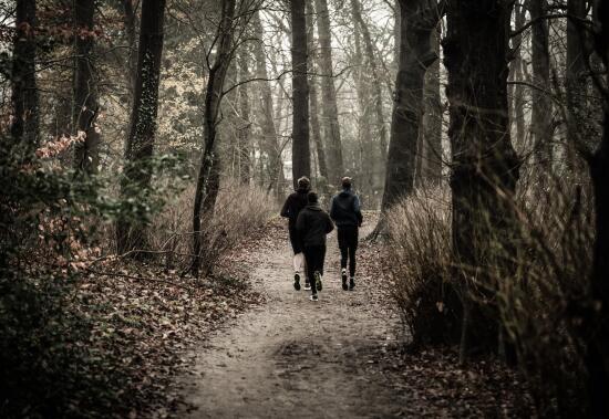 Trail Running