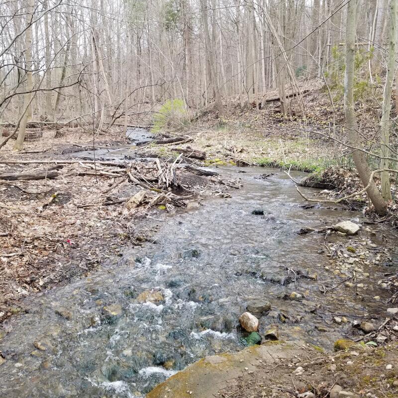 rand tract trail running route fleet feet syracuse