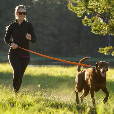 Ruffwear Dog Gear Fleet Feet Syracuse