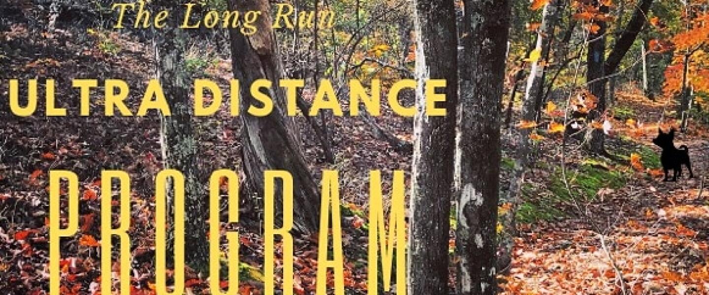 Long Run Ultra Distance Program Big Dog Running