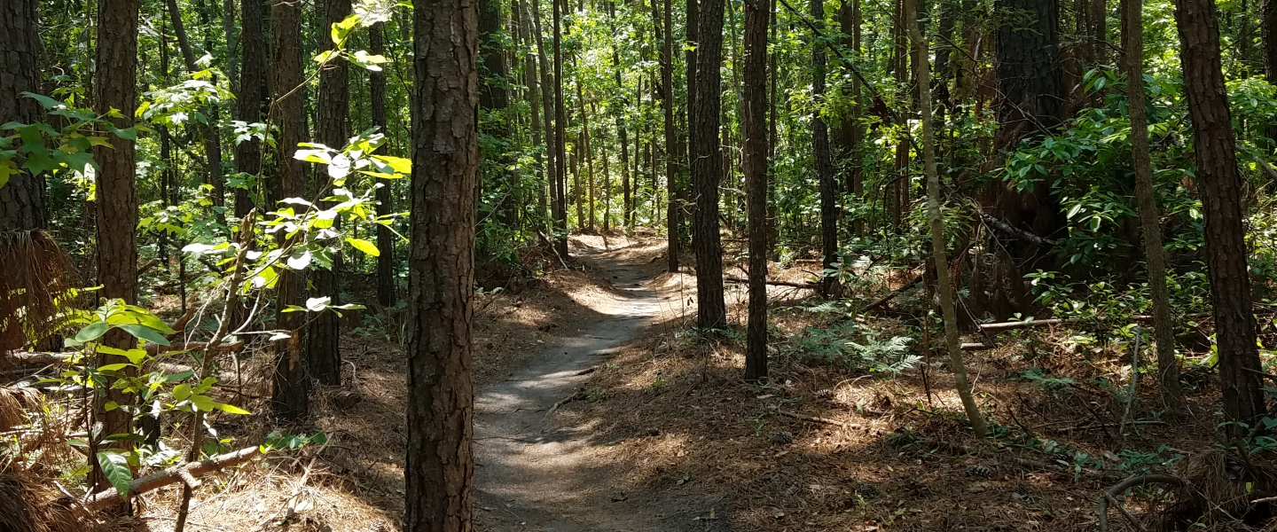Trails - Fleet Feet Sports Myrtle Beach