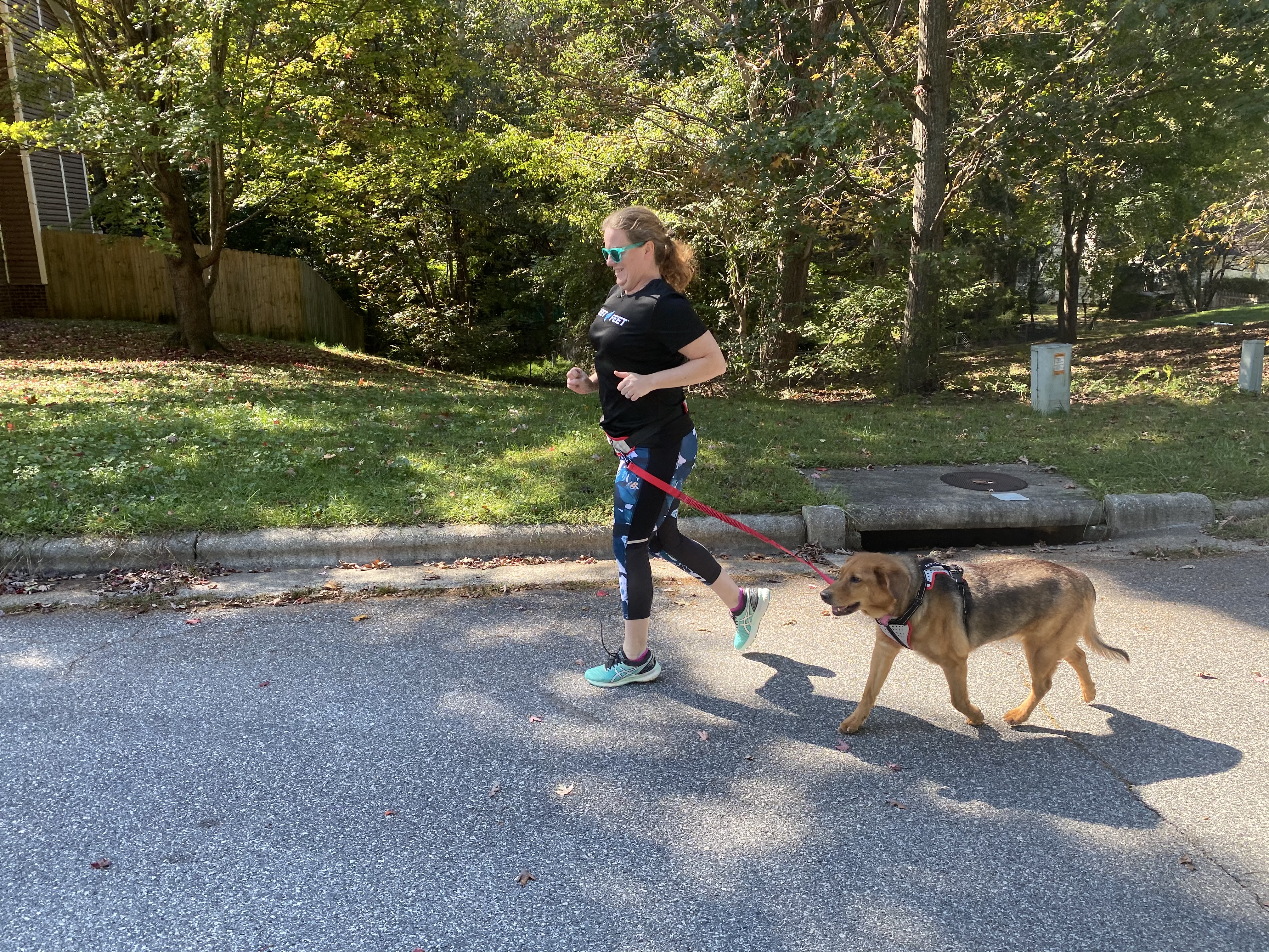 is it okay to run with your puppy