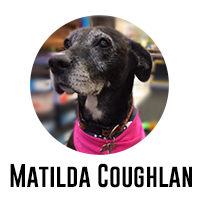 Matilda Coughlan