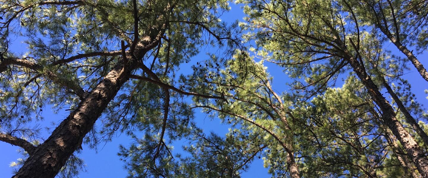 Noelle Coughlan Fleet Feet Little Rock