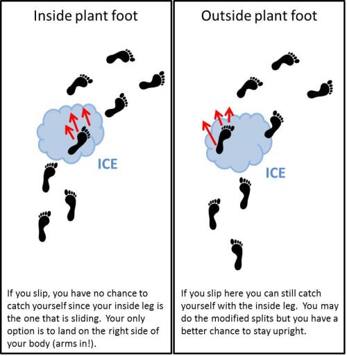 Planting Feet Fleet Feet Sports Madison Blog