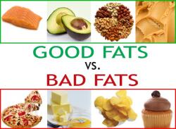 Understanding Dietary Fats - Fleet Feet Columbus