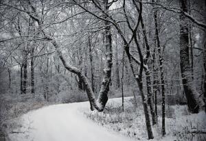 Don T Let The Ice And Snow Slow Your Training Fleet Feet Columbus