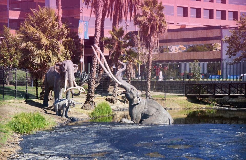 La Brea Tar Pits