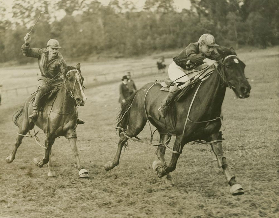 New Old Stock horse racing photo