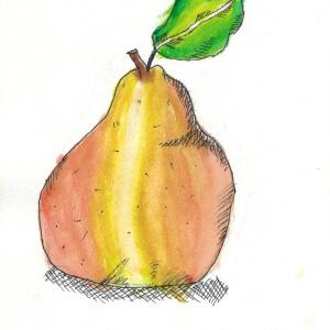 Pear (Watercolor)
