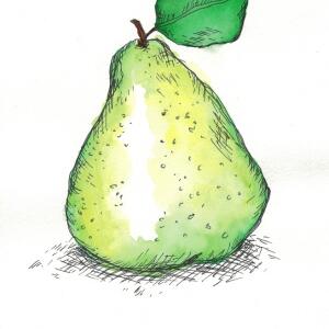 Pear (Watercolor)