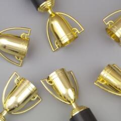 6 Trophies on gray background