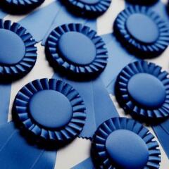 An array of blue ribbons