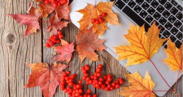 Autumn leaves on laptop