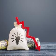 Bag with ideas patents and red down arrow.