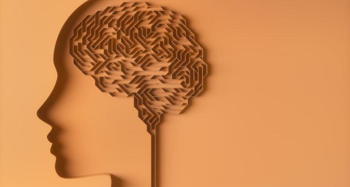 Brain shaped maze