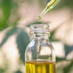 CBD oil and blurred hemp plan image