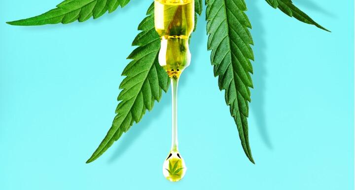 a pipet with CBD oil on cannabis leaf