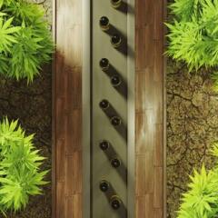 CBD oil production inside a hydroponics farm