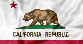 California State Flag blowing in the wind- close up