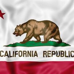 California State Flag blowing in the wind- close up