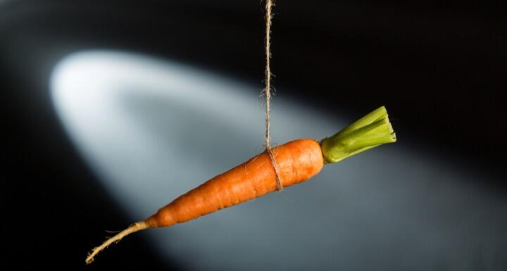 Carrot on string