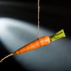 Carrot on string