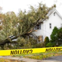 Caution tape warning of downed tree